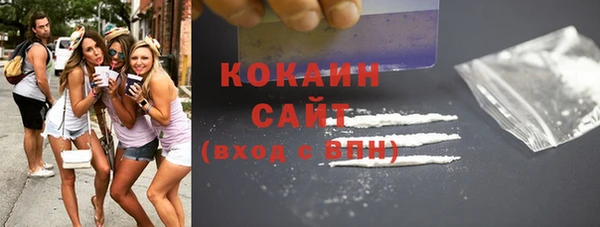 стафф Алексин