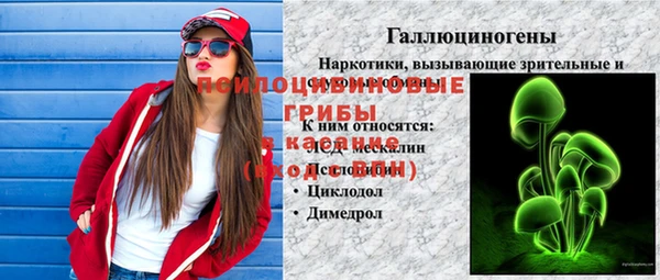дмт Абаза