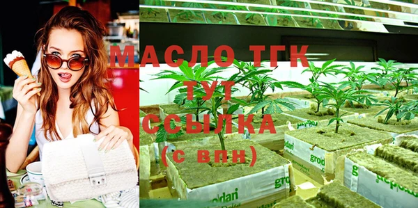 индика Новокубанск