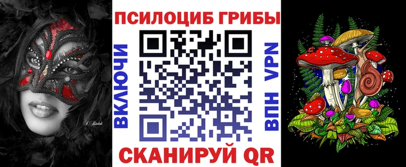 купить   Ужур  Псилоцибиновые грибы MAGIC MUSHROOMS 